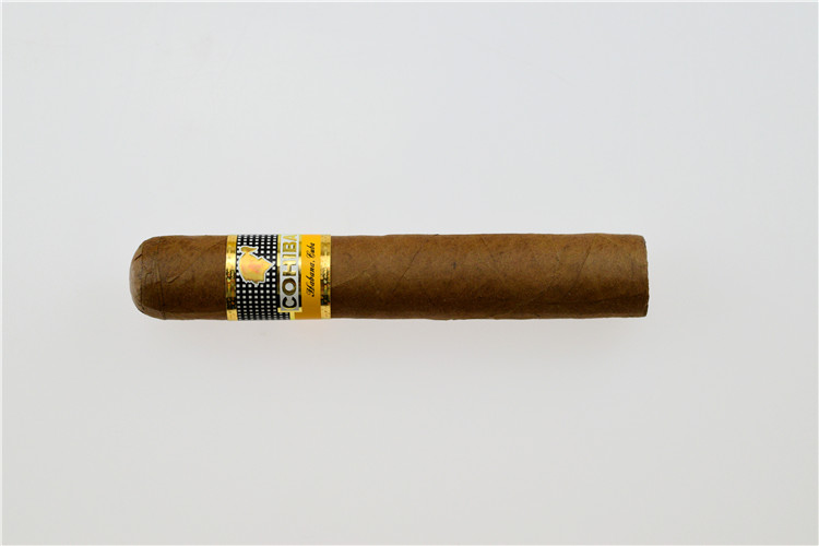 25支 COHIBA Robustos （罗布图）（17年）